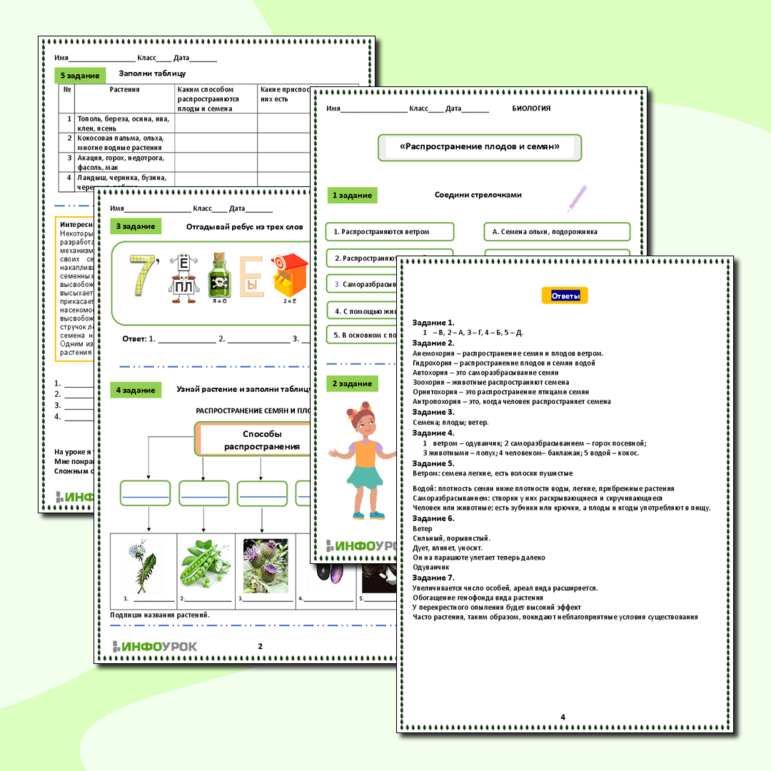 Рабочий лист. «Распространение плодов и семян»