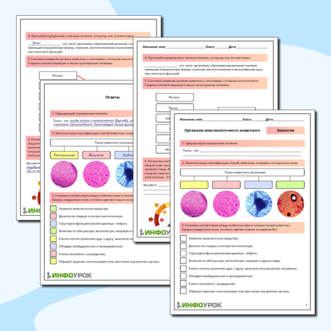 Ghid Biologie Gimnaziu Rus 4