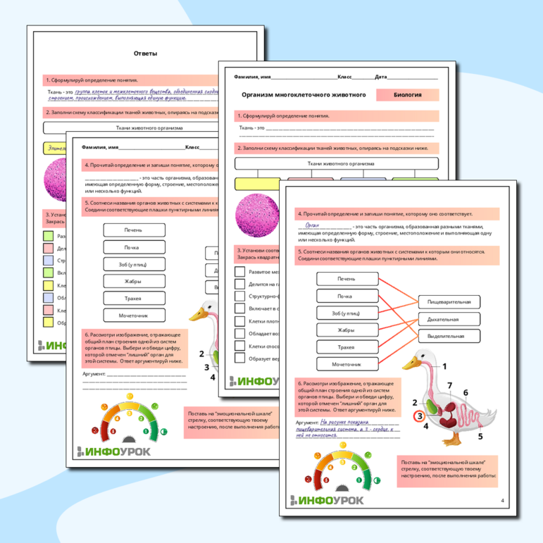 Рабочий лист по биологии 