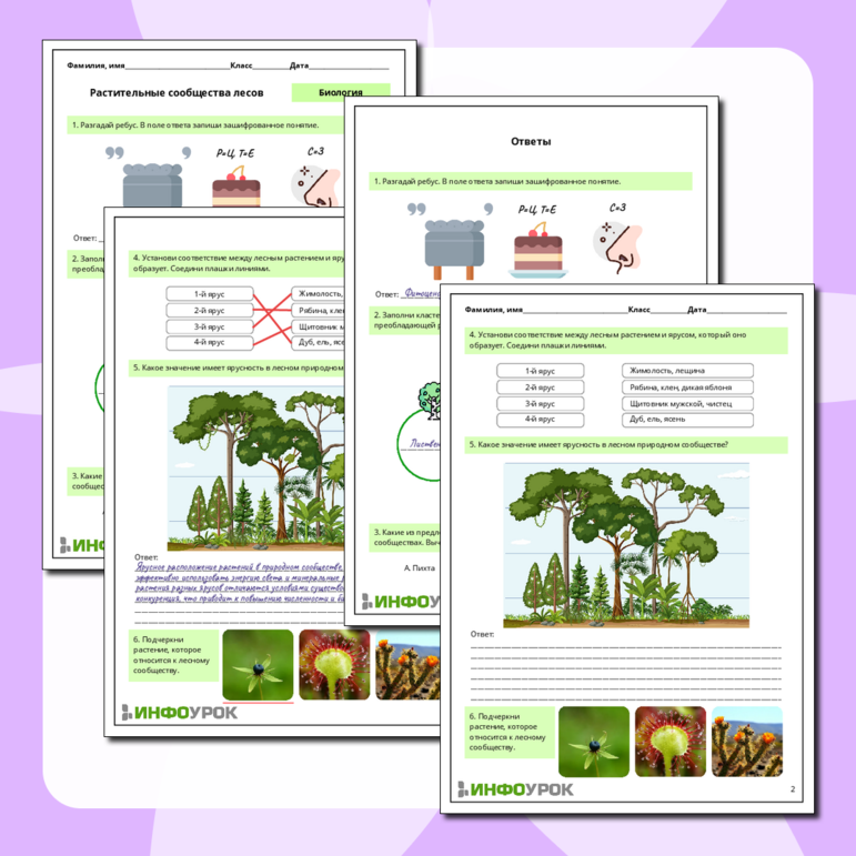 Рабочий лист по биологии: Растительные сообщества лесов