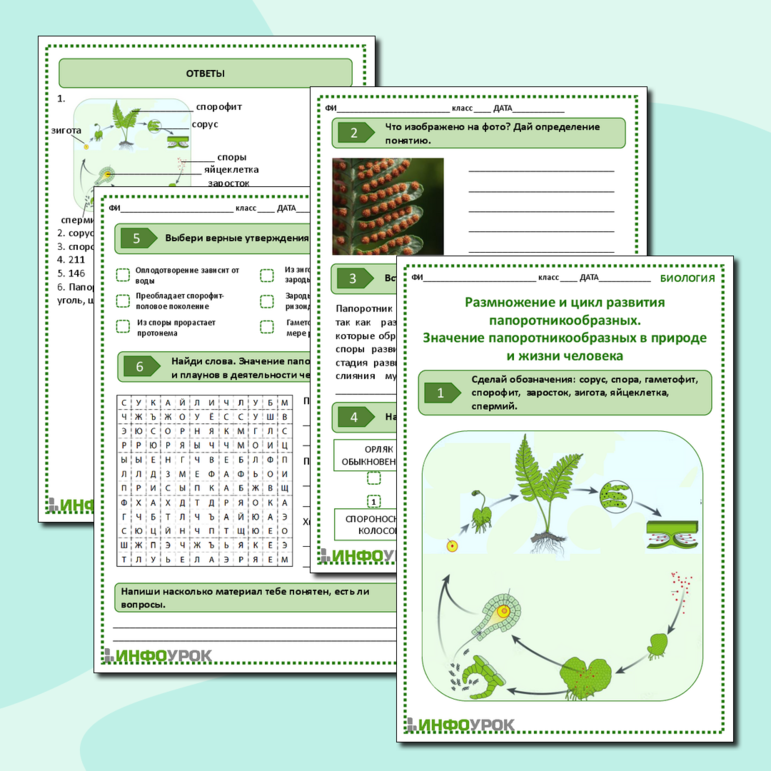 Рабочий лист по биологии 