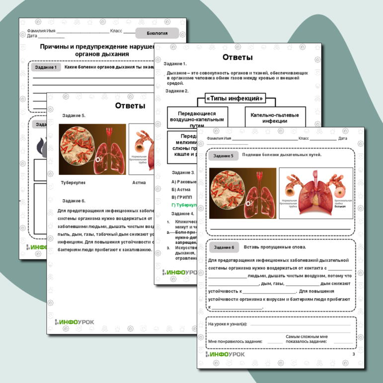 Рабочий лист по биологии «Причины и предупреждение нарушений органов дыхания»