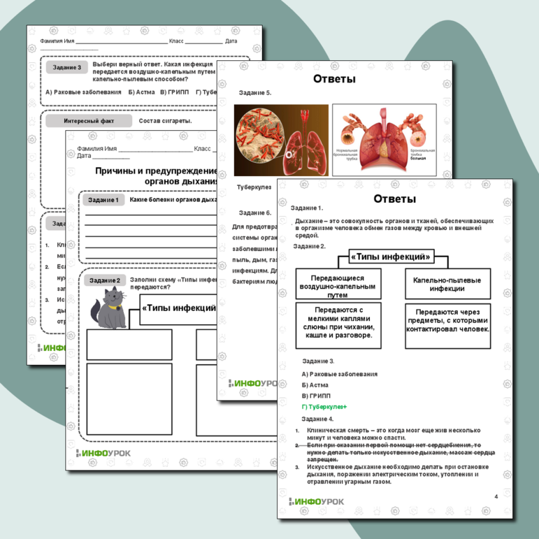 Рабочий лист по биологии «Причины и предупреждение нарушений органов дыхания»