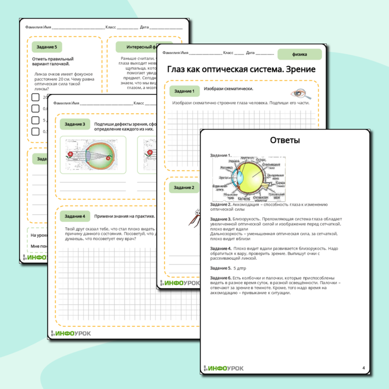 Рабочий лист по физике 9 класса Глаз как оптическая система. Зрение