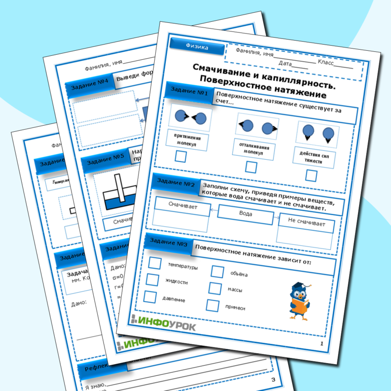 Рабочий лист по физике для 10 класса. Смачивание и капиллярность. Поверхностное натяжение.
