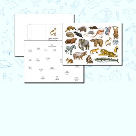 карточки по зоологии | Тест по биологии (7 класс) по теме: | Образовательная социальная сеть