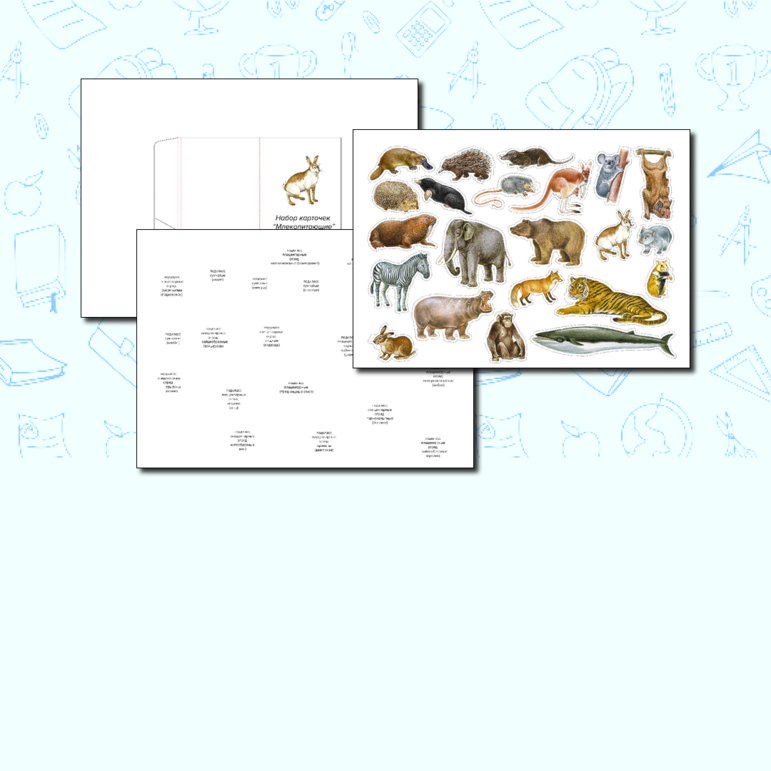 Карточки «Млекопитающие» 7, 8 класс Зоология Биология ОГЭ/ЕГЭ Окружающий мир