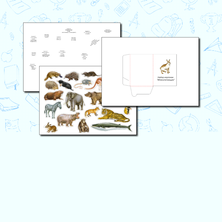 Карточки «Млекопитающие» 7, 8 класс Зоология Биология ОГЭ/ЕГЭ Окружающий мир