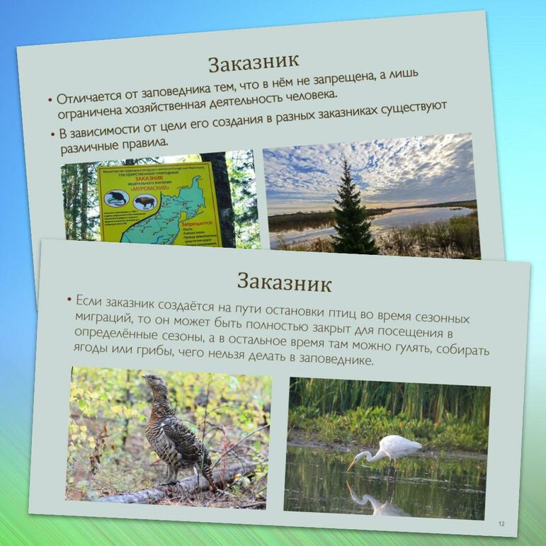 Презентация «Охрана природы» Биология 5 класс к учебнику В.В. Пасечника (Линия жизни)