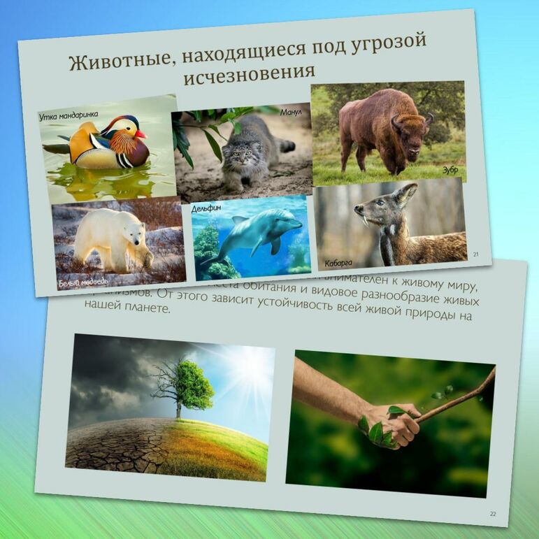 Презентация «Охрана природы» Биология 5 класс к учебнику В.В. Пасечника (Линия жизни)