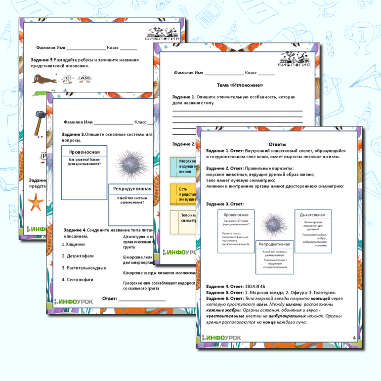 Рабочий лист для подготовки к ЕГЭ/ОГЭ зоология. Иглокожие.