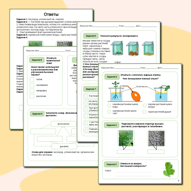 Рабочий лист по биологии 
