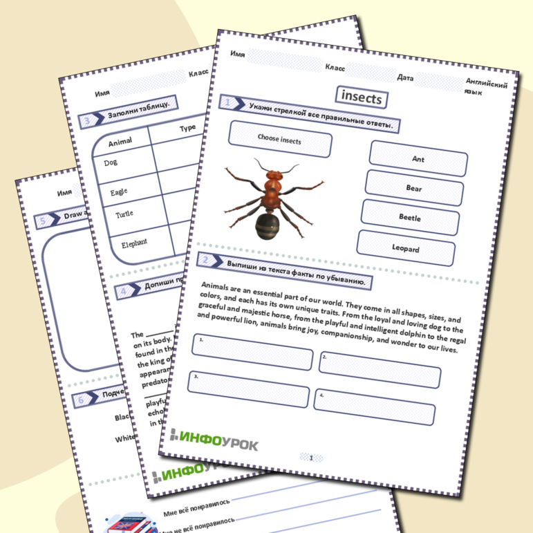 Рабочий лист для англ.яз «Исследование мира насекомых»