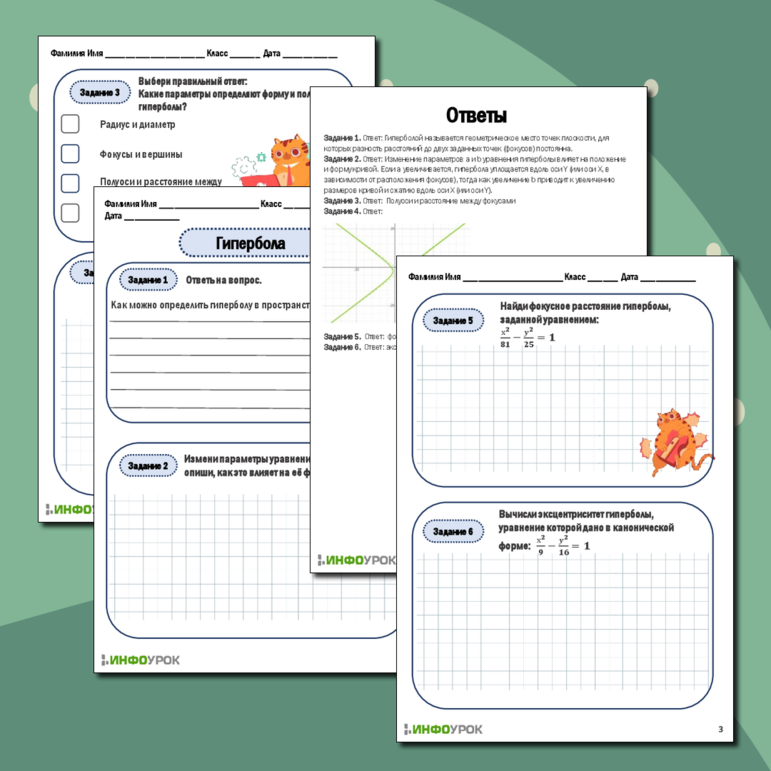 Рабочий лист «Гипербола»