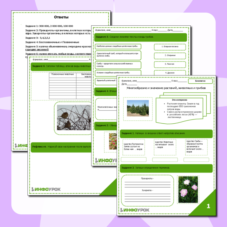 Рабочий лист по биологии в 5 классе. Многообразие и значение растений, животных, грибов.