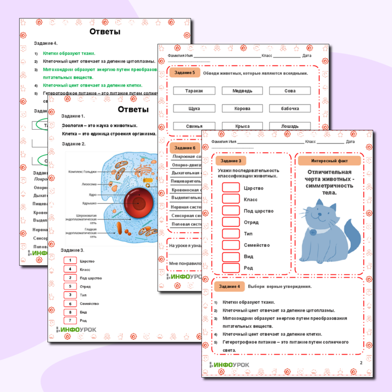 Рабочий лист по биологии «Зоология. Животная клетка»
