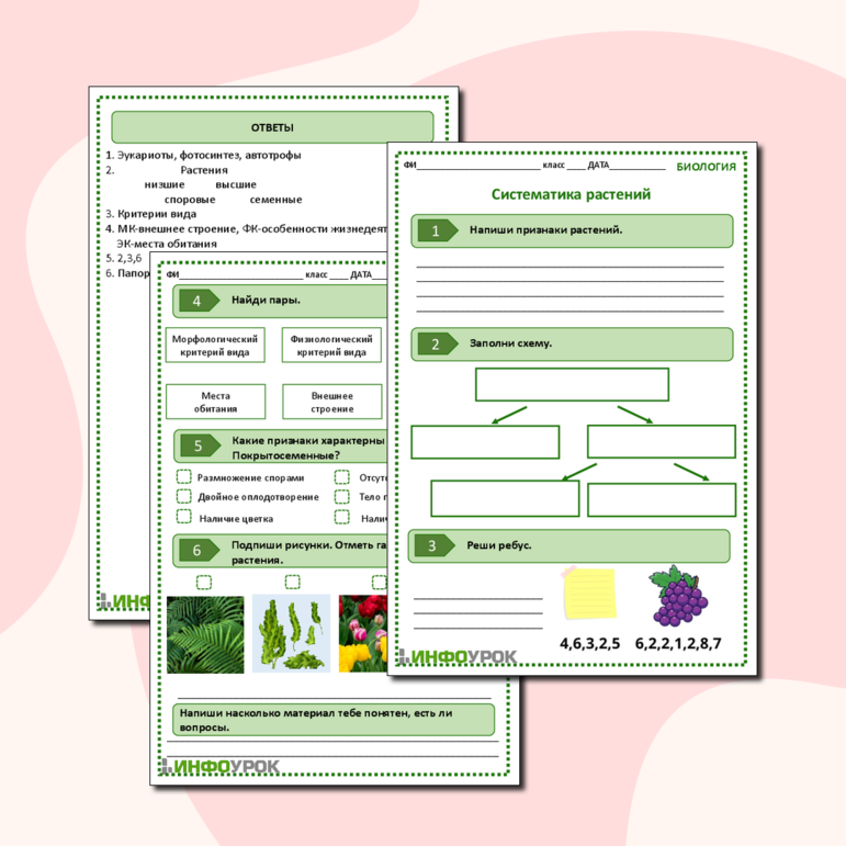Рабочий лист по биологии 