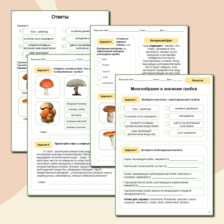 Рабочий лист «Многообразие и значение грибов»