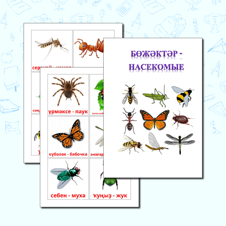 Карточки с названиями насекомых на башкирском языке