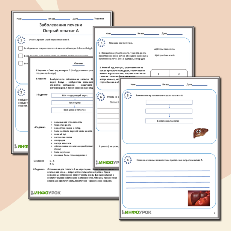 Рабочий лист «Заболевания печени. Острый гепатит А»