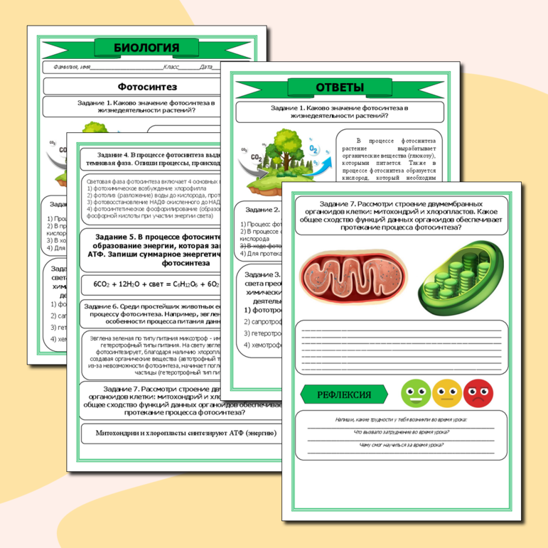 Рабочий лист по теме: «Фотосинтез»