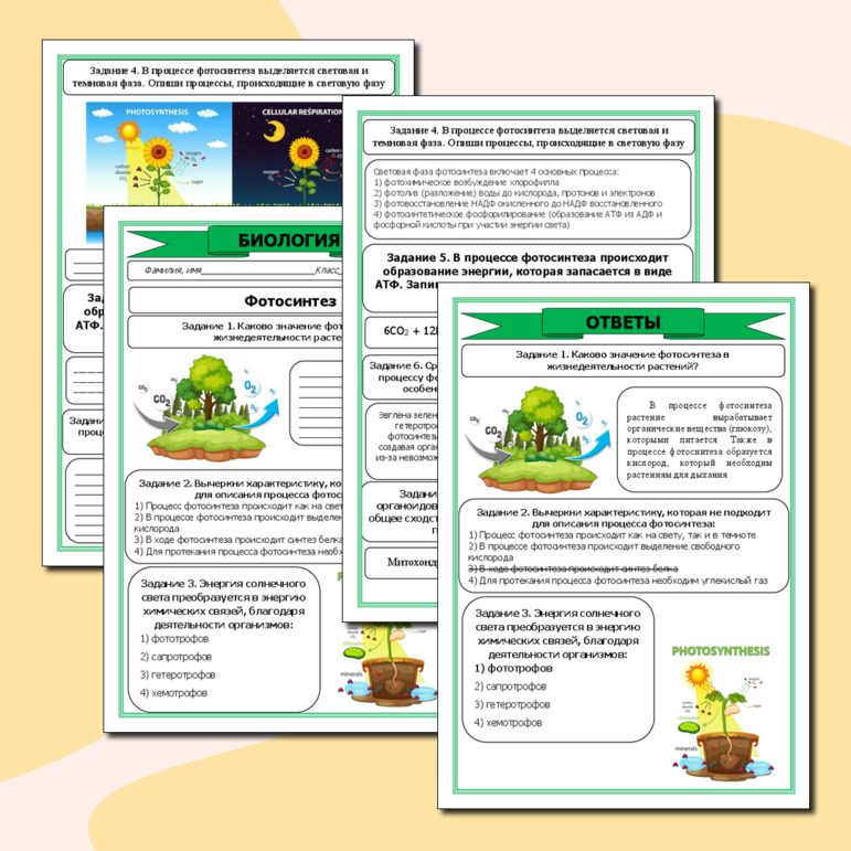 Рабочий лист по теме: «Фотосинтез»