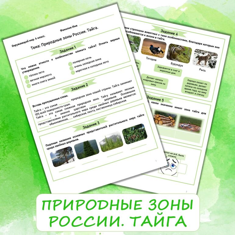 Рабочий лист по окружающему миру «Природные зоны России. Тайга»