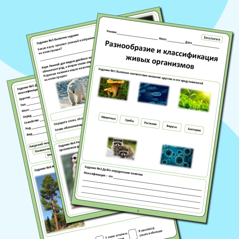 Рабочий лист по биологии по теме «Разнообразие и классификация живых организмов»
