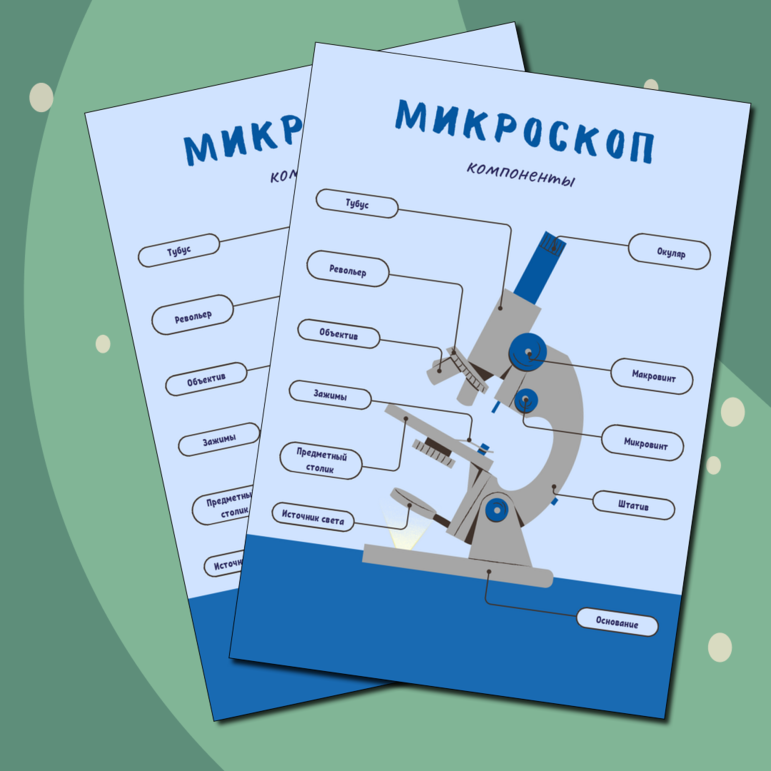 Плакат «Микроскоп»