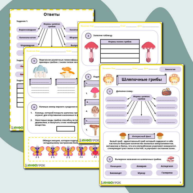 Рабочий лист по биологии на тему «Шляпочные грибы»