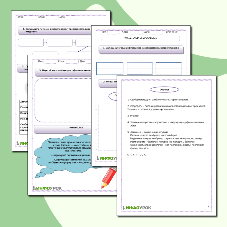 Рабочий лист по биологии «Тип Инфузории»