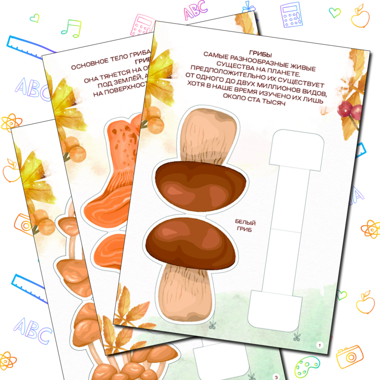 Тетрадь для творчества «Детям про грибы»