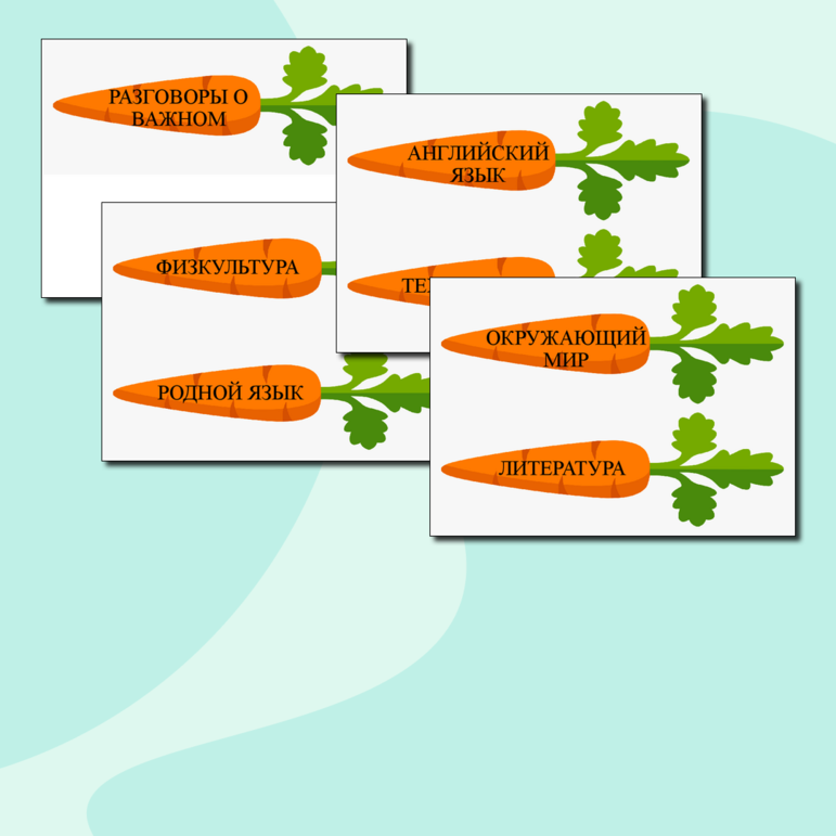 Закладки в виде моркови на доску. Расписание уроков