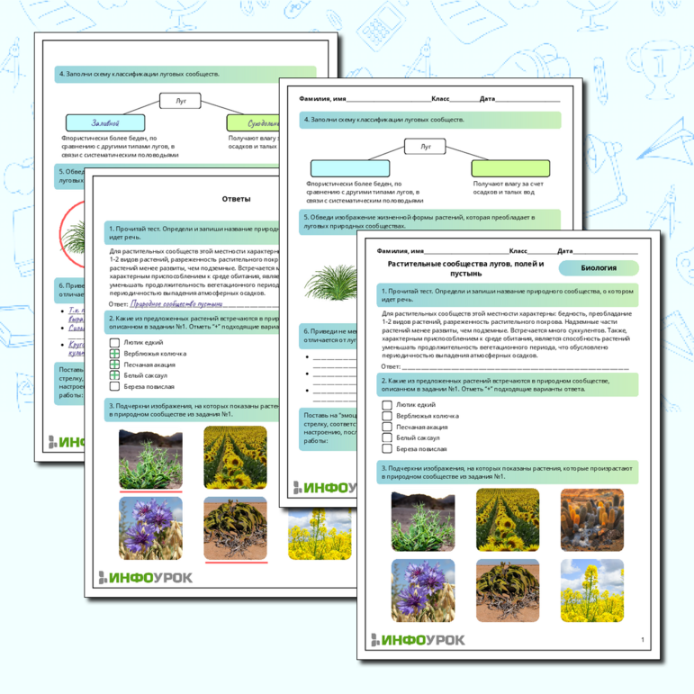 Рабочий лист по биологии: Растительные сообщества лугов, полей и пустынь