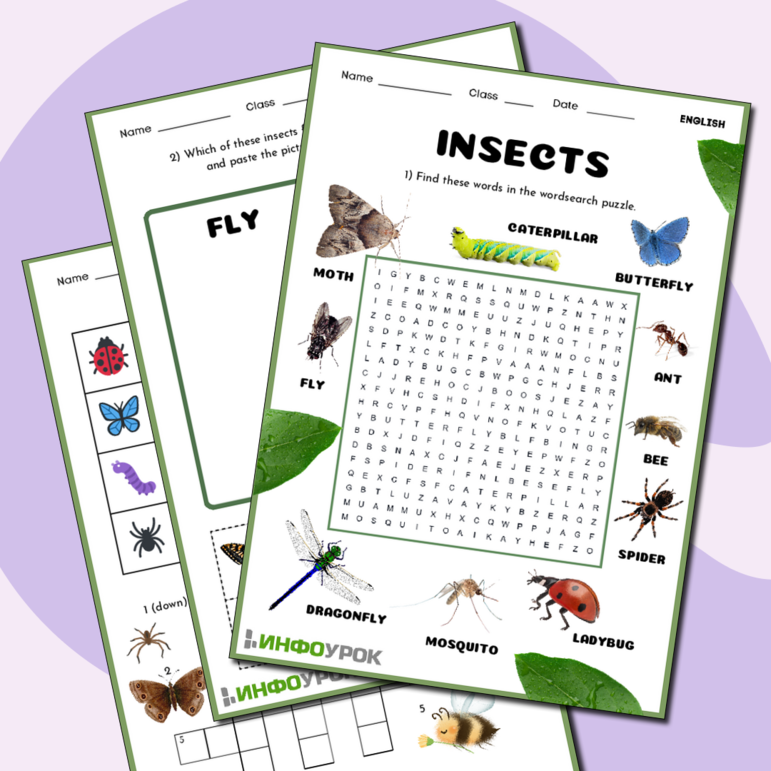Insects. Рабочий лист на английском языке на тему 