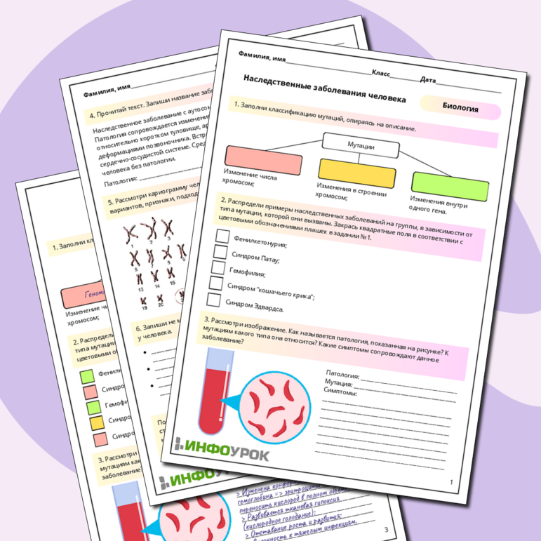 Рабочий лист по биологии: Наследственные заболевания человека