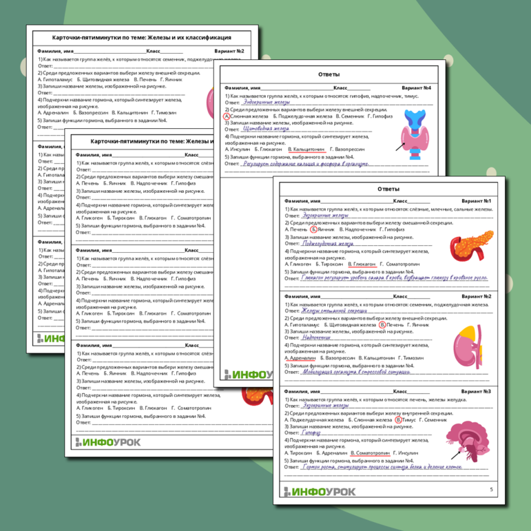 Карточки-пятиминутки «Железы и их классификация»