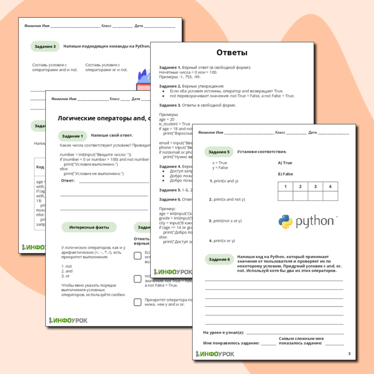 Рабочий лист по информатике «Логические операторы and, or, not в Python»