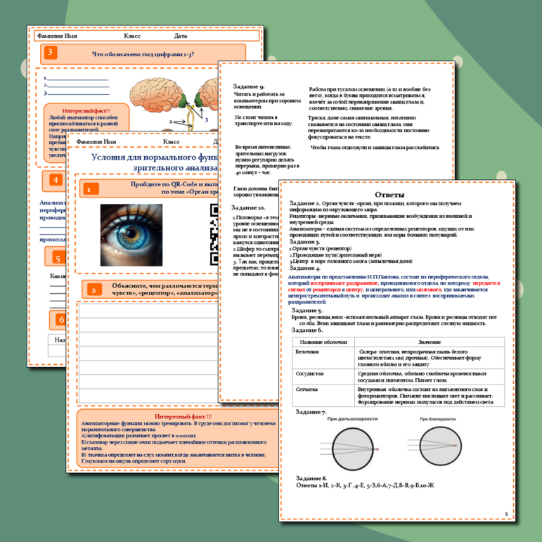 Рабочий лист к уроку биологии «Условия нормального функционирования зрительного анализатора»