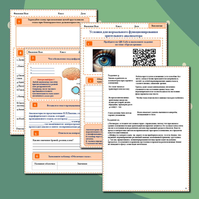Рабочий лист к уроку биологии «Условия нормального функционирования зрительного анализатора»