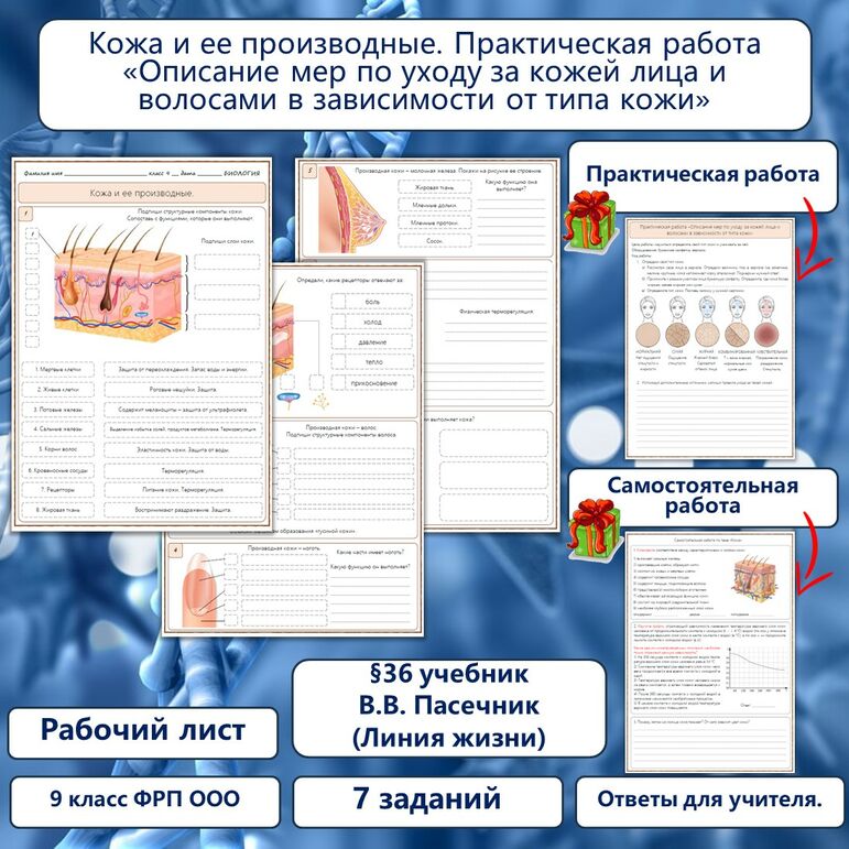 Рабочий лист «Кожа и ее производные. Практическая работа «Описание мер по уходу за кожей лица и волосами в зависимости от типа кожи», 9 класс к учебнику В.В. Пасечника