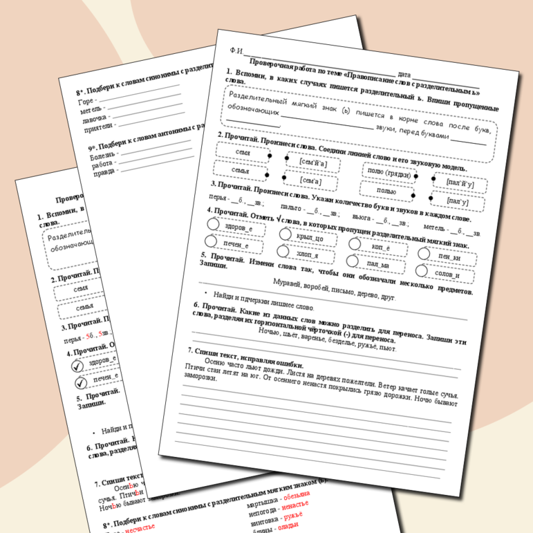 Проверочная работа по русскому языку 