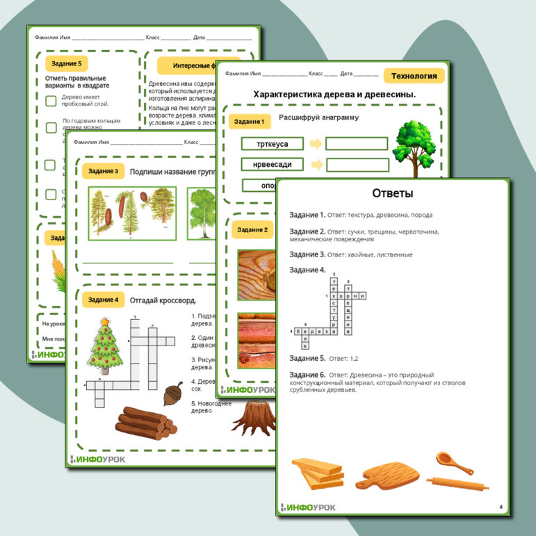 Рабочий лист для урока технологии 5 класс. Характеристика дерева и древесины.