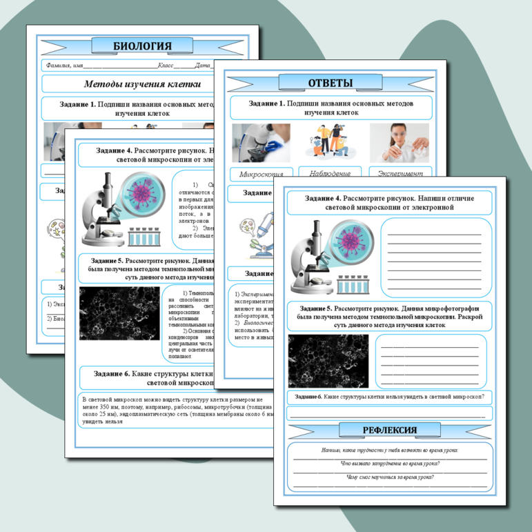 Рабочий лист по теме: «Методы изучения клетки»