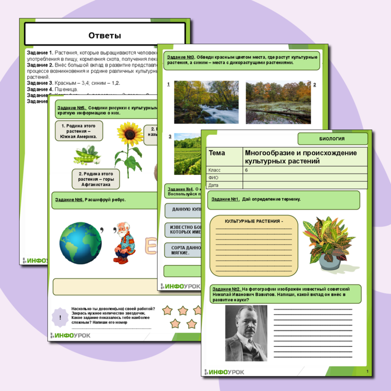 Рабочий лист по теме «Многообразие и происхождение культурных растений»