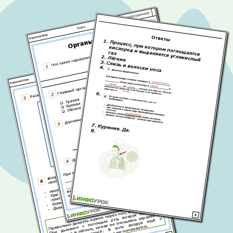 Рабочий лист для окружающего мира. Тема Органы дыхания. 3 класс.