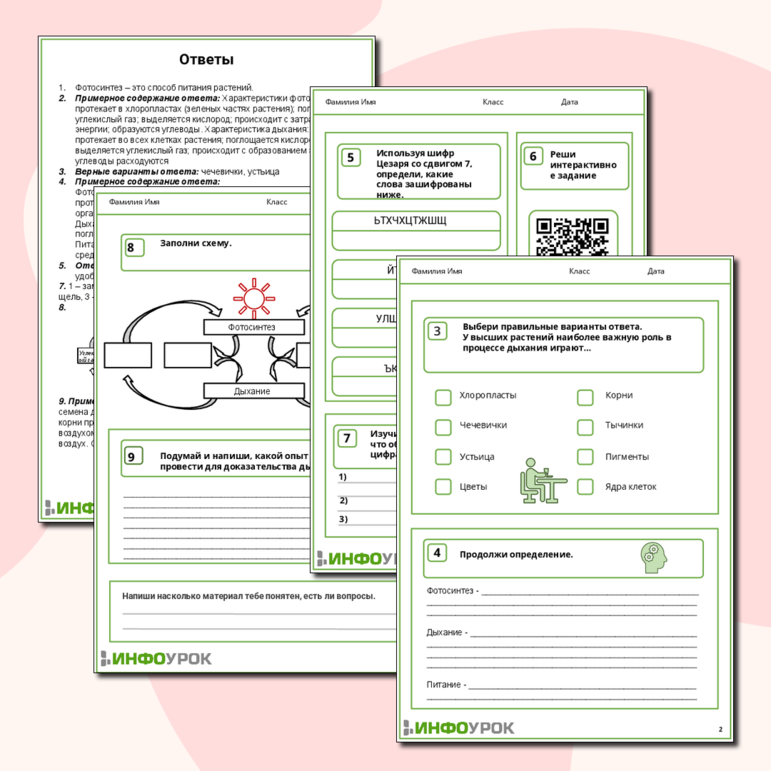 Фотосинтез и дыхание растений. Рабочий лист для учащихся 6 (7) классов