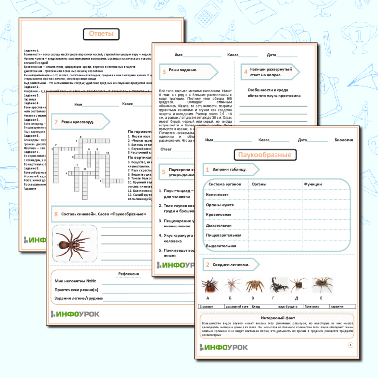 Рабочий лист. «Паукообразные»
