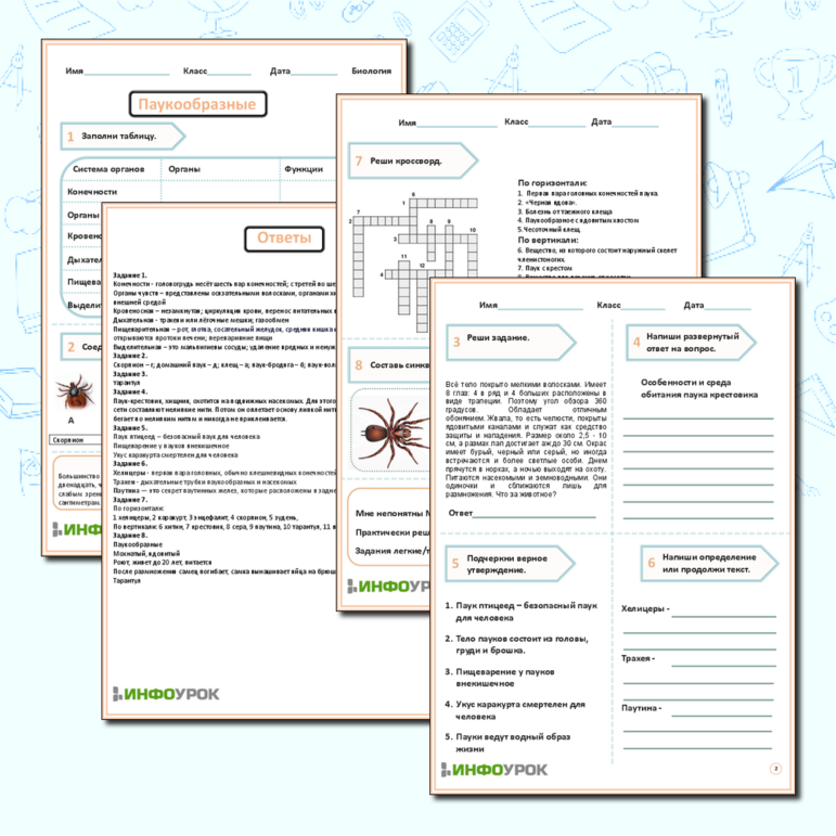 Рабочий лист. «Паукообразные»