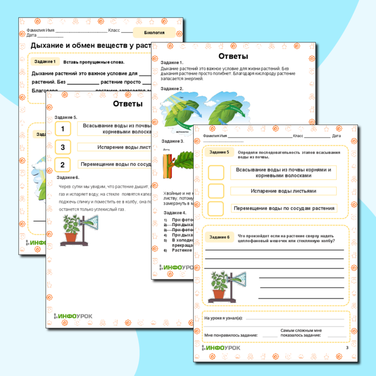 Рабочий лист по биологии «Дыхание и обмен веществ у растений»